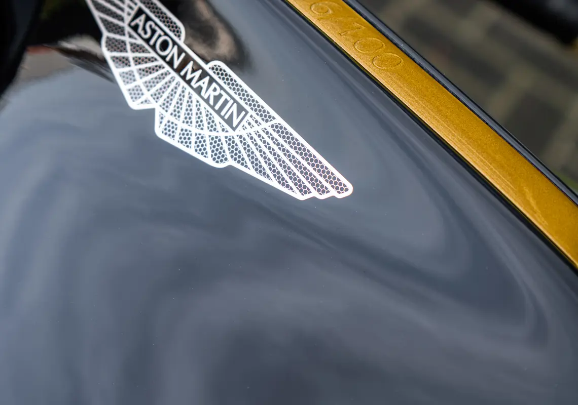 SNY09769.jpg