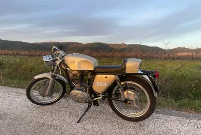 WhatsApp Image 2025-12-06 at 17.11.56.jpeg