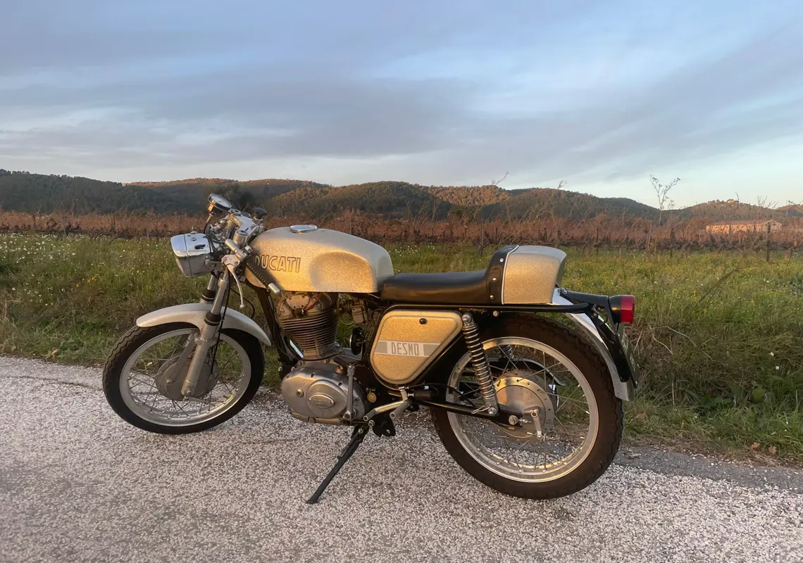 WhatsApp Image 2025-12-06 at 17.11.56.jpeg