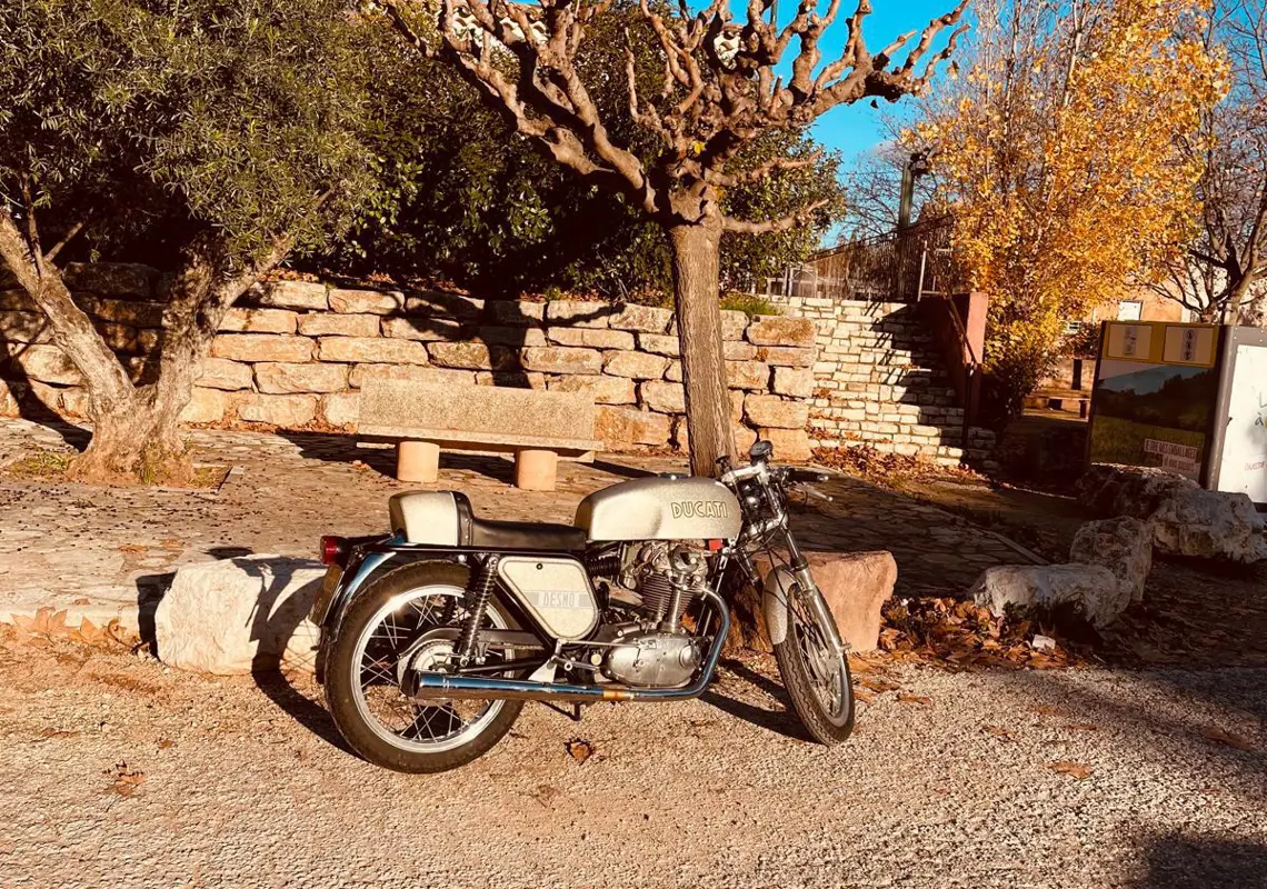 WhatsApp Image 2025-12-08 .39.59.jpeg