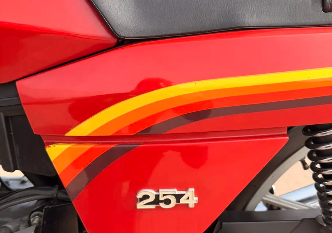 C8B680D1-E224-4872-8E02-BFA76DBC5A92_1_105_c.jpeg (1)