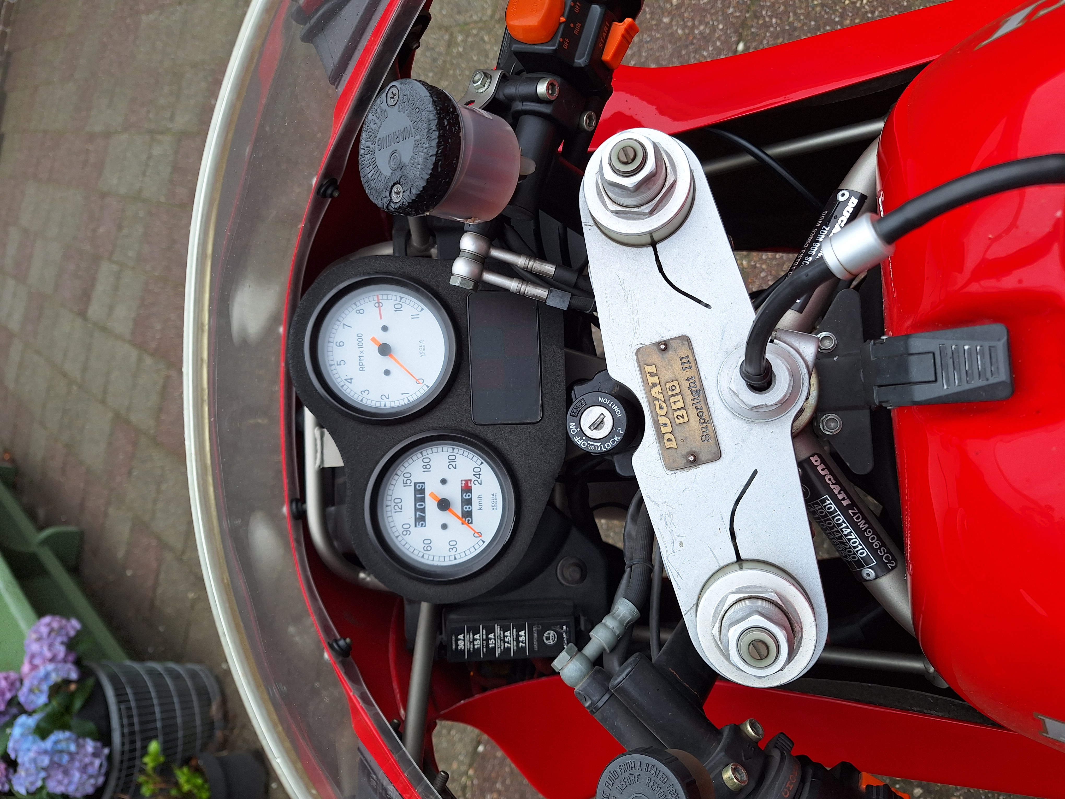 20250421_134337.jpg (1)