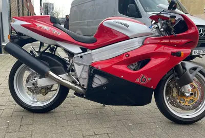 WhatsApp Image 2026-03-03 at 12.35.57.jpeg