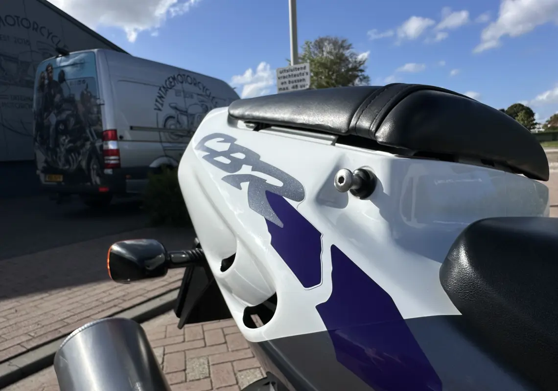 IMG_6911.jpeg